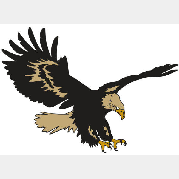 AR EAGLE 47 RC Thumbnail