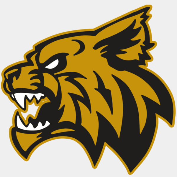 AR WILDCAT 16 RC Thumbnail