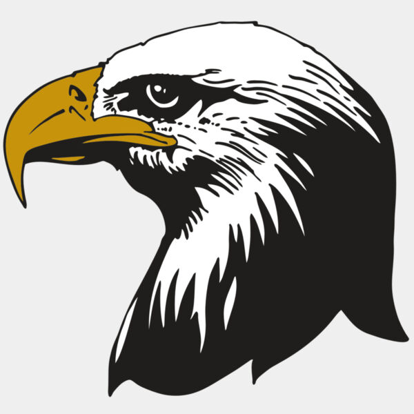 AR EAGLE 87 RC Thumbnail