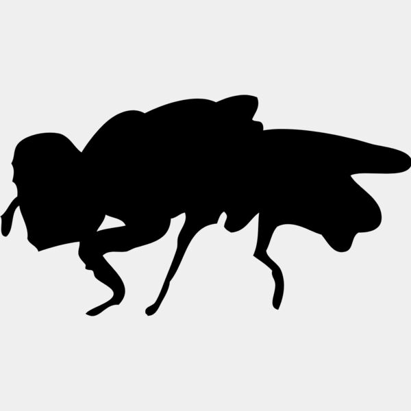 Fly Silhouette 9 Thumbnail