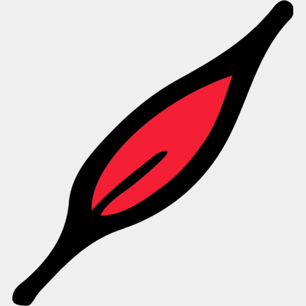 Autumn Fall Leaf 5 Thumbnail