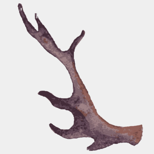 Watercolor Branch Antler 3 Thumbnail
